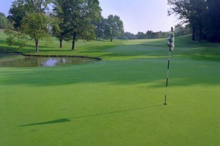 Gull_Lake_View_Golf_Club_and_Resort_-_East_379142